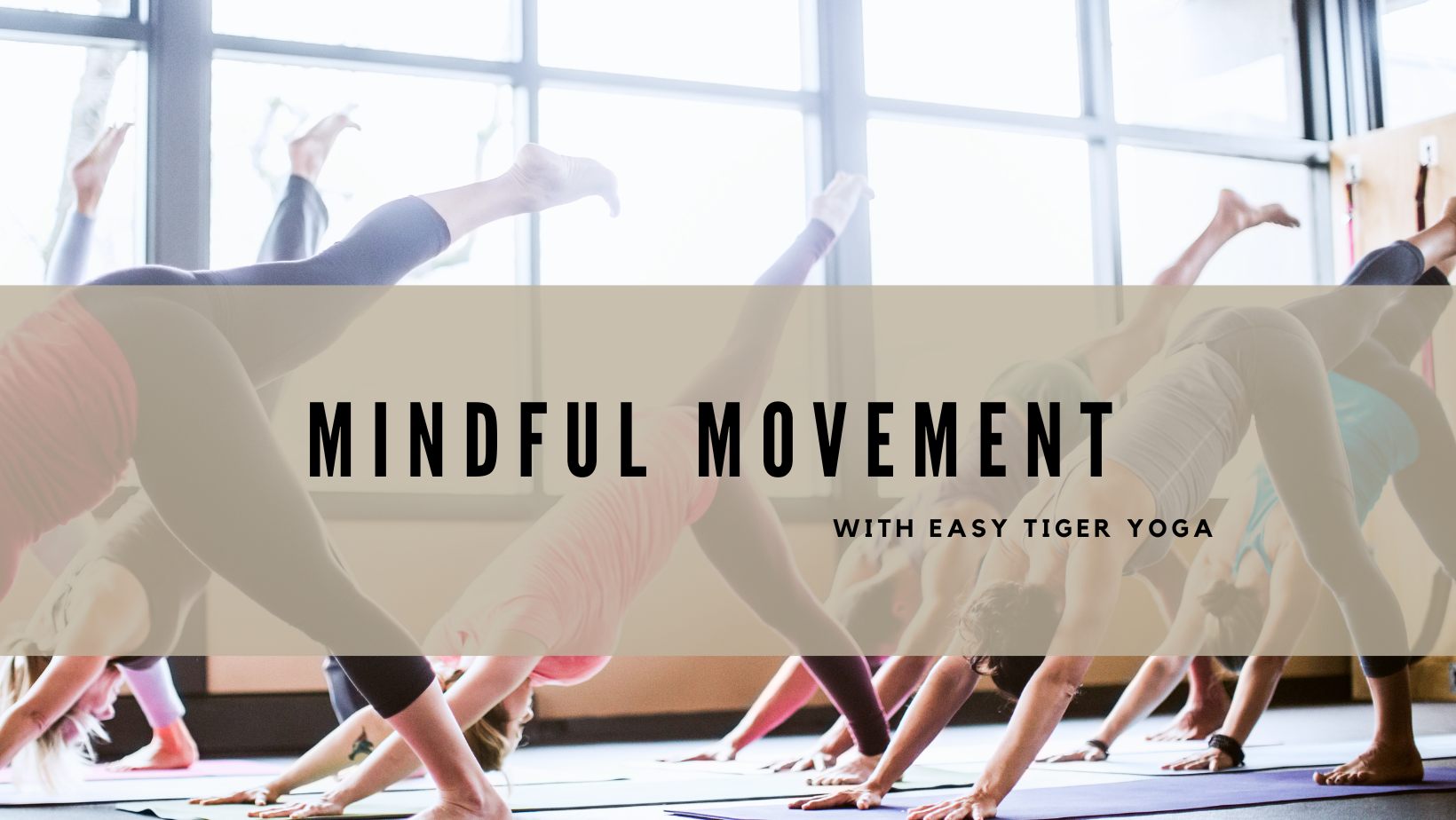 Classes — Easy Tiger Yoga