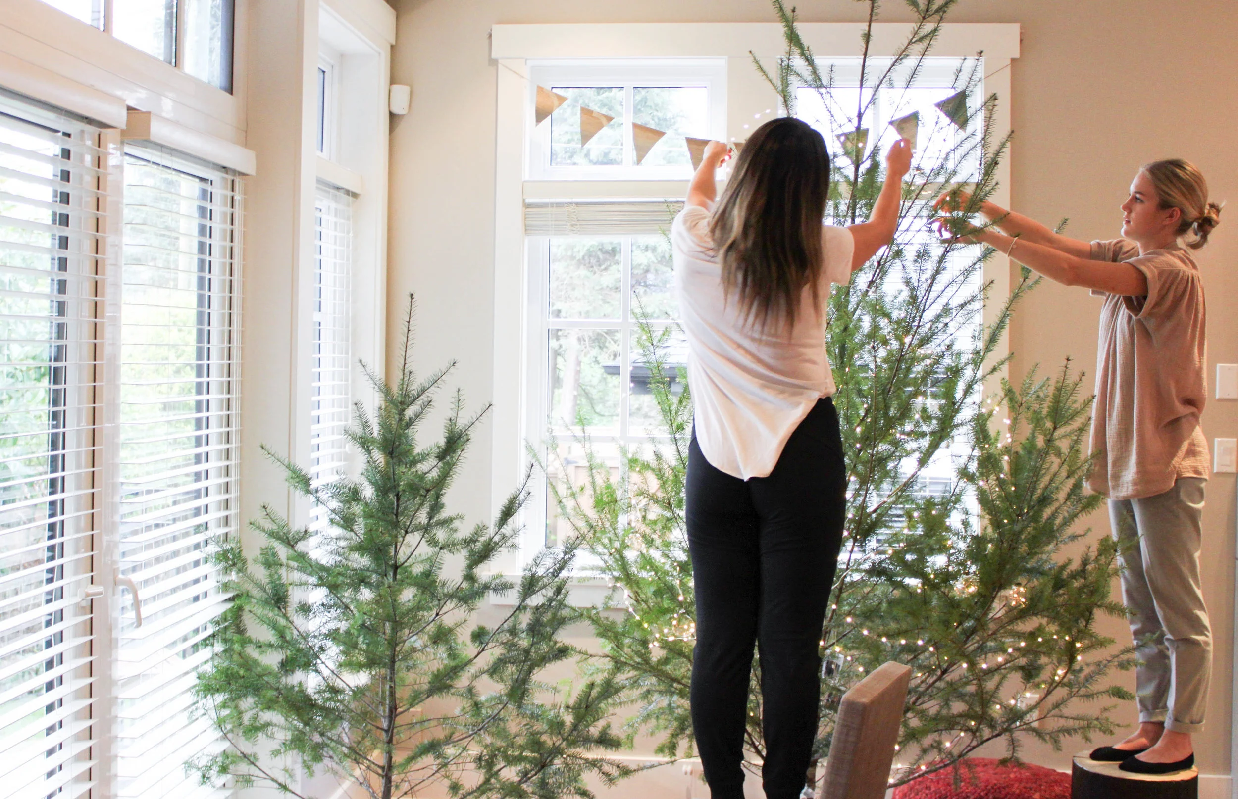 WOODLAND HOLIDAY