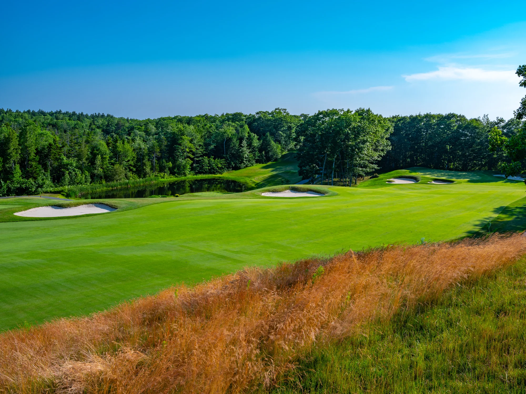 #13 from Right.jpg