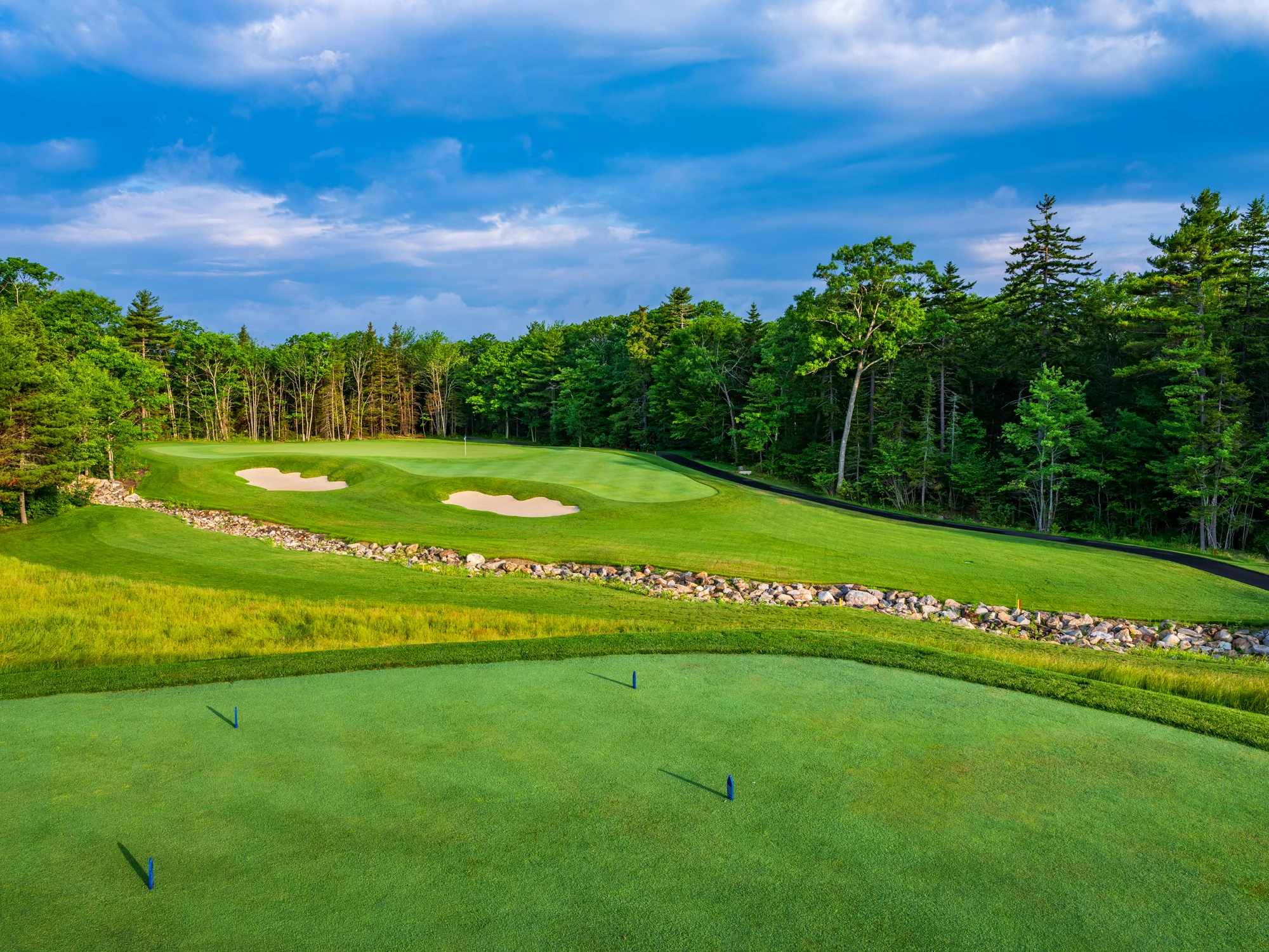 #15 Tee Shot.jpg
