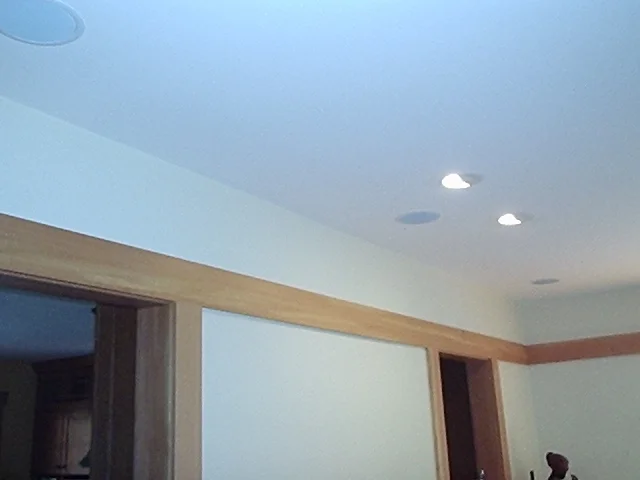 vittemberga in ceilings.JPG