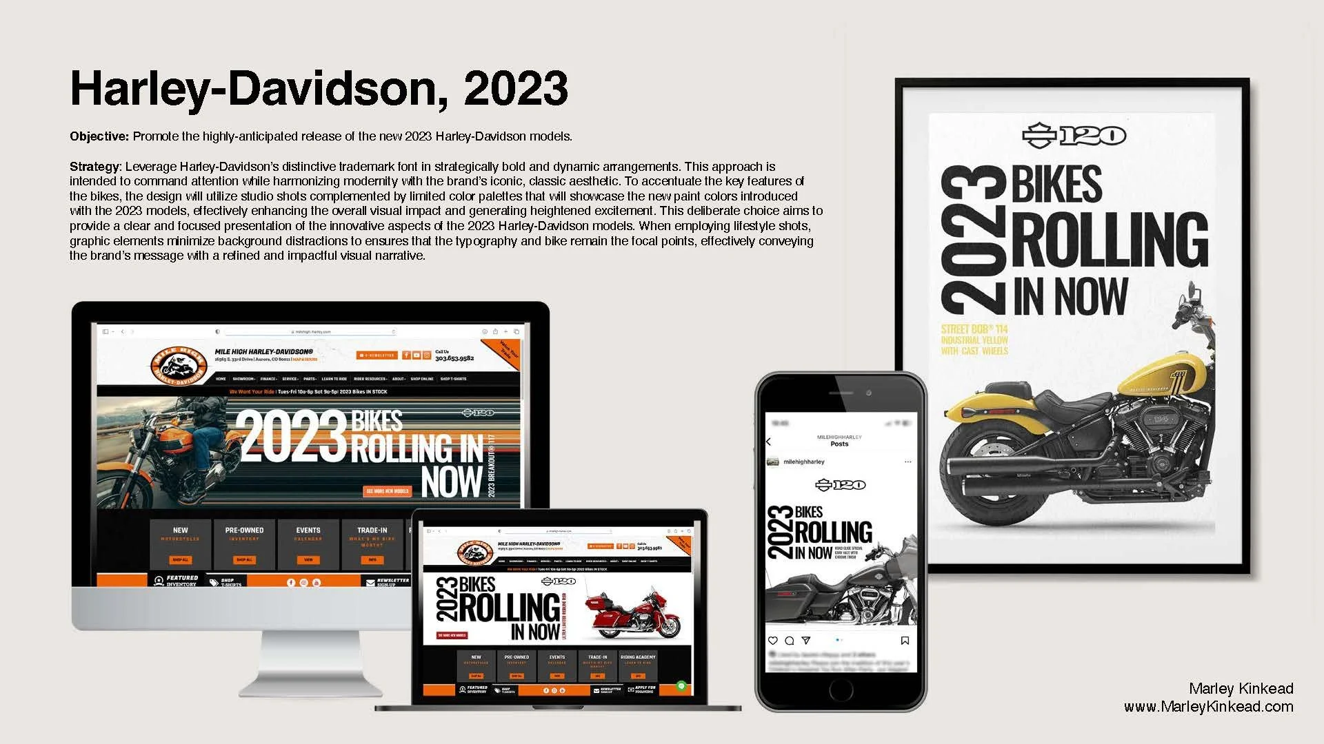 MarleyKinkead_DesignPortfolio_25_Page_04.jpg