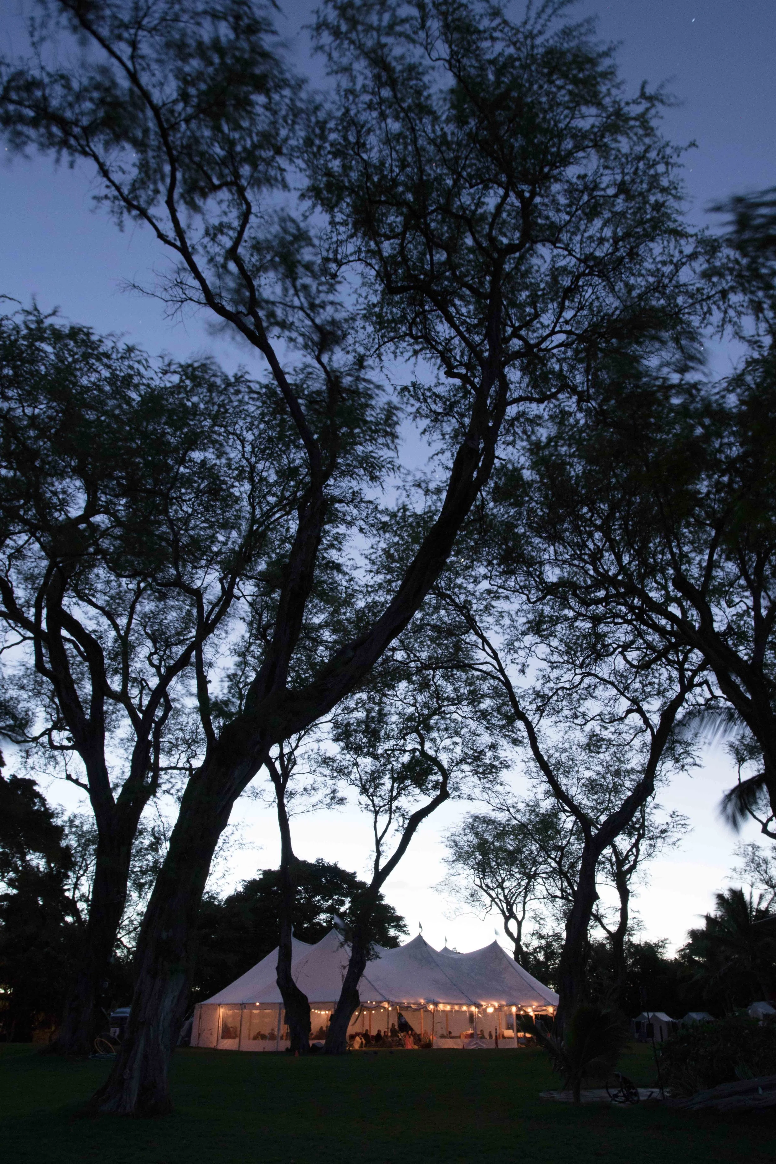 AIW_0224.jpg