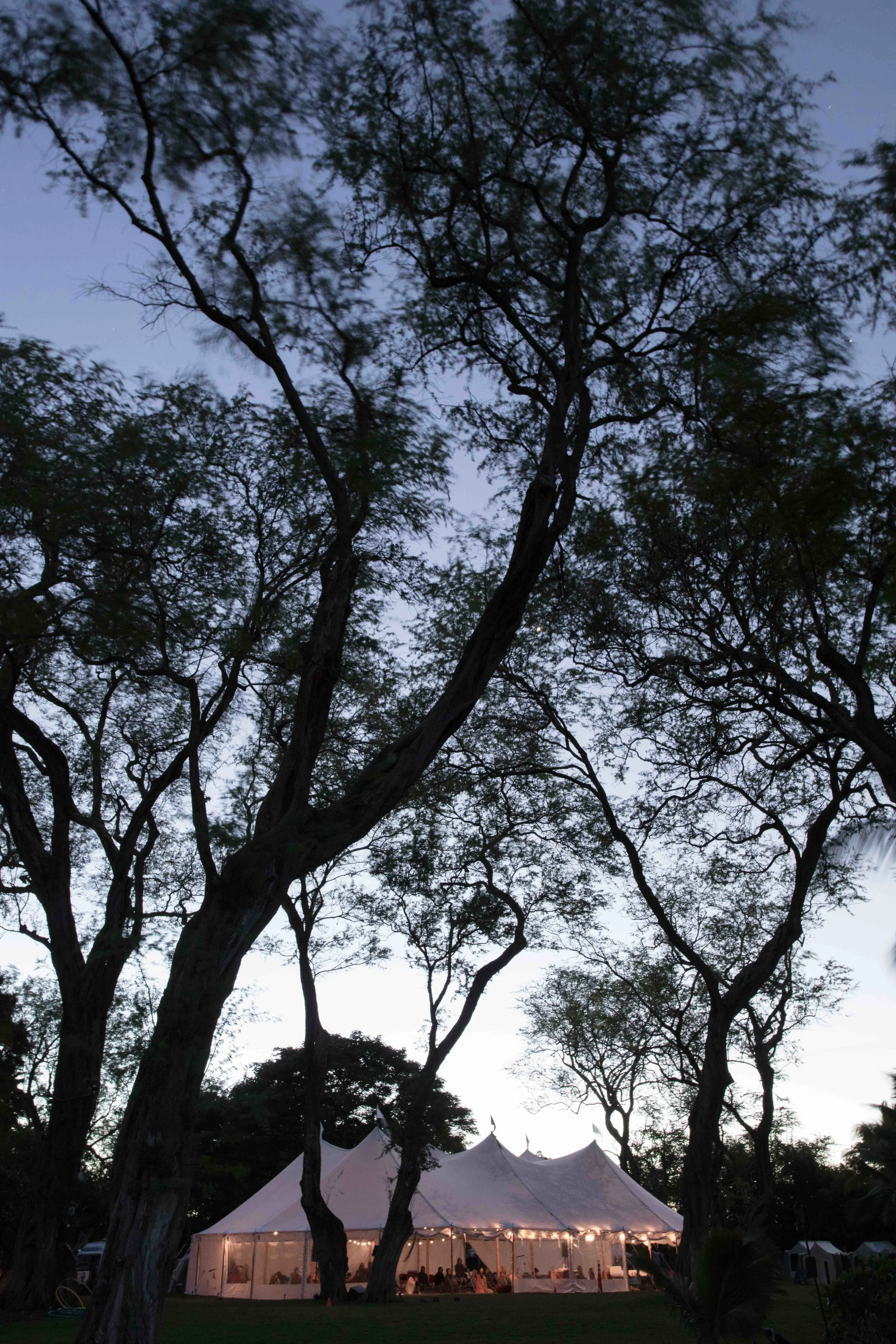 AIW_0225.jpg
