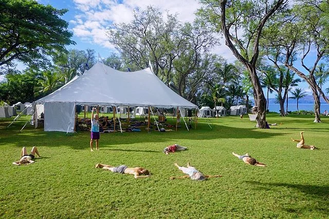 “Yeah psychedelics and plant medicines are cool and all, but have you ever tried Quepasana?” .
.
.
#true #funny #meditation #awaken #likewhoa