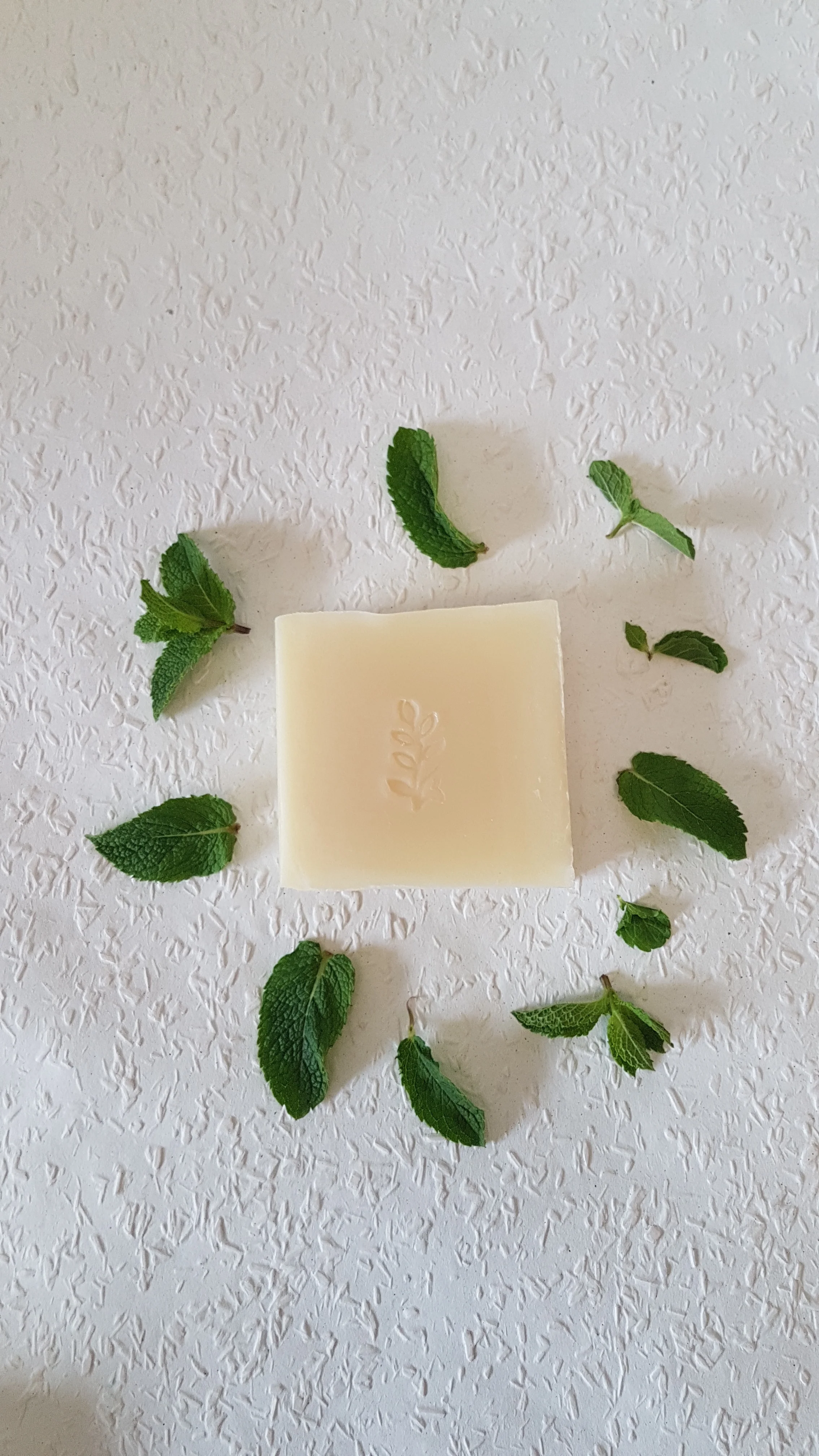 lime vertical.jpg
