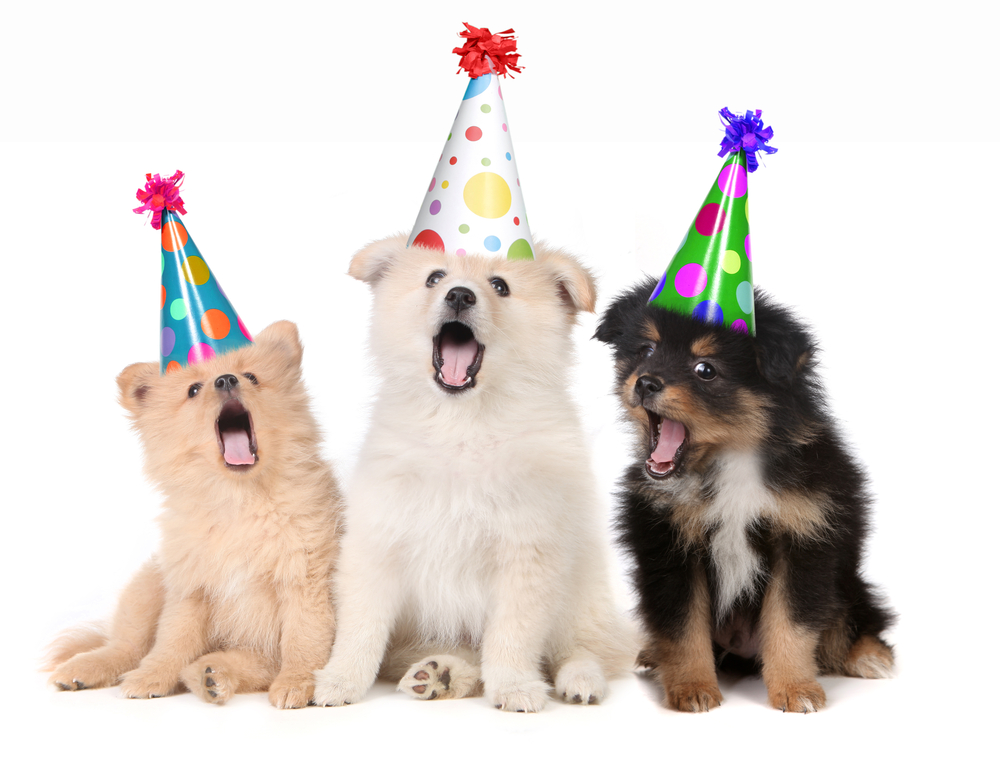 shutterstock_52587760.jpg