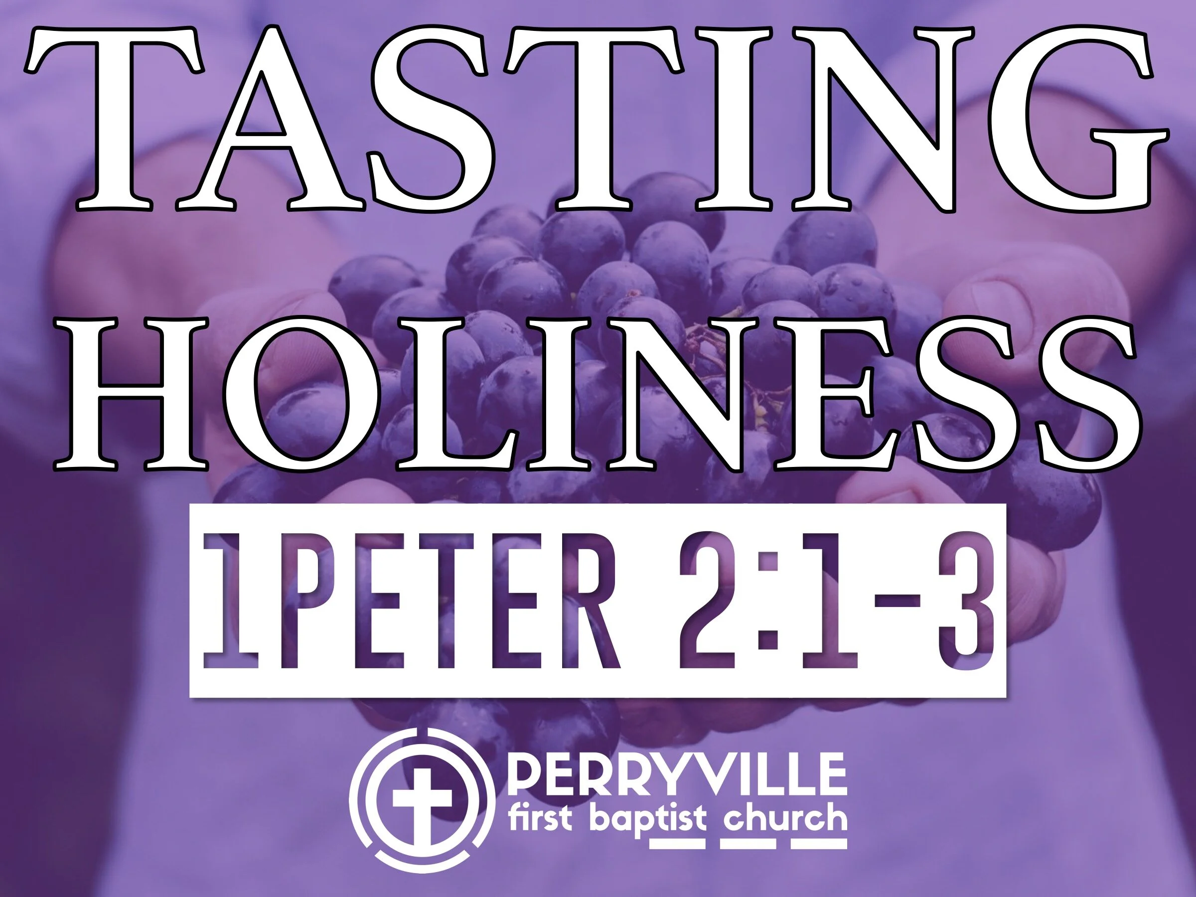 Tasting Holiness | 1 Peter 2:1-3 | Podcast