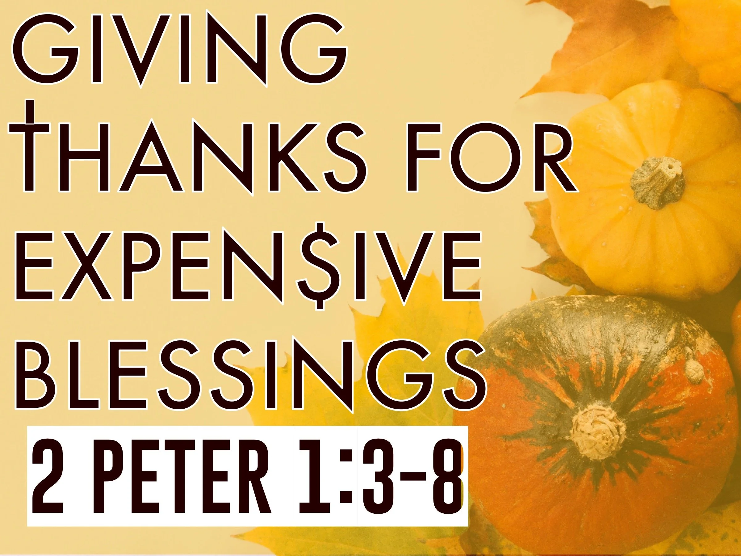 Giving Thanks for Expensive Gifts | 2 Peter 1:3-8
