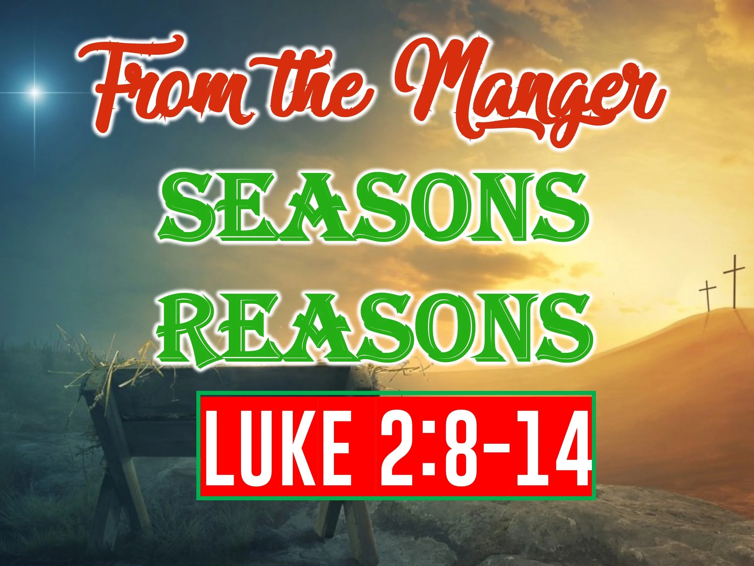 Season's Reasons | LUKE 2:8-14