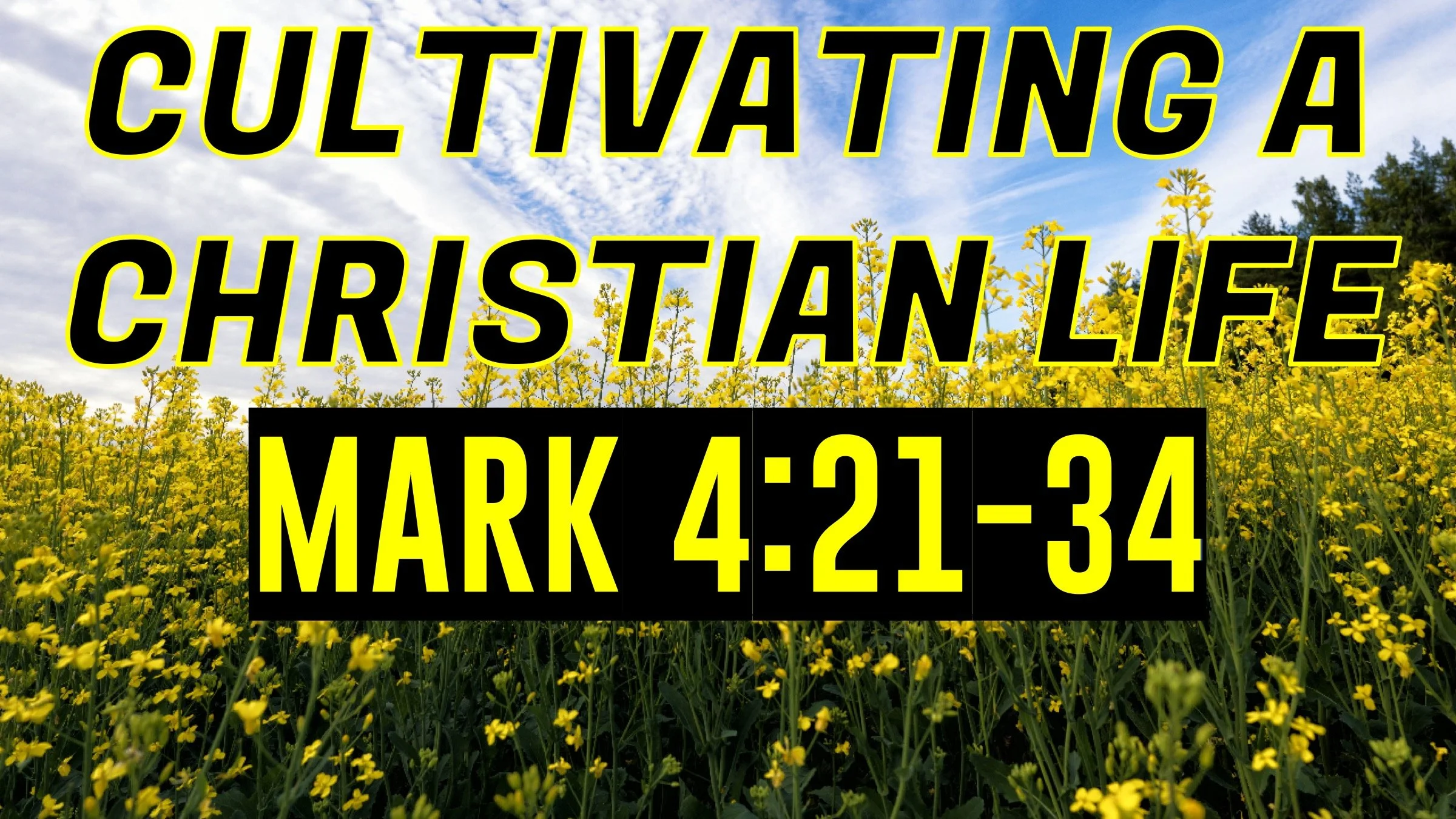 Cultivating a Christian Life | Mark 4:21-34