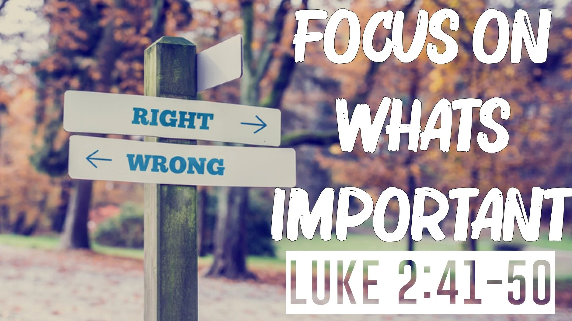 Focus on What Is Important | Luke 2:41-50