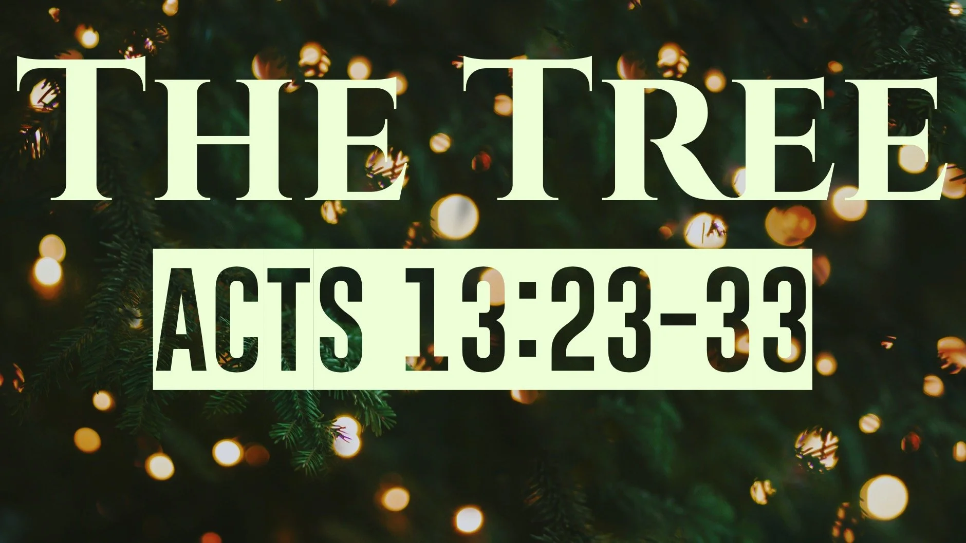 The Tree | Acts 13:23-33