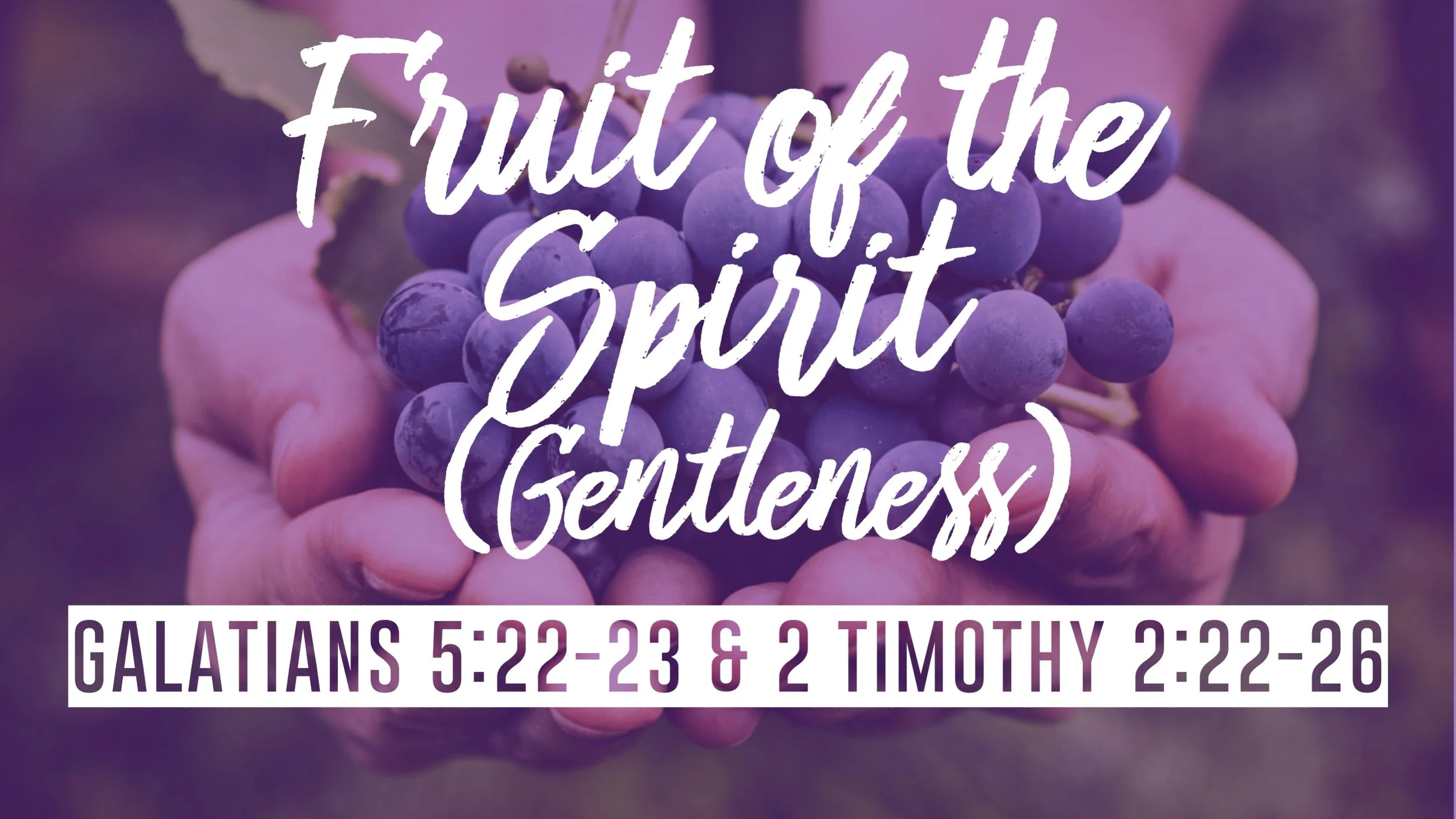 Gentleness | Galatians 5:22-23 &amp; 2 Timothy 2:22-26