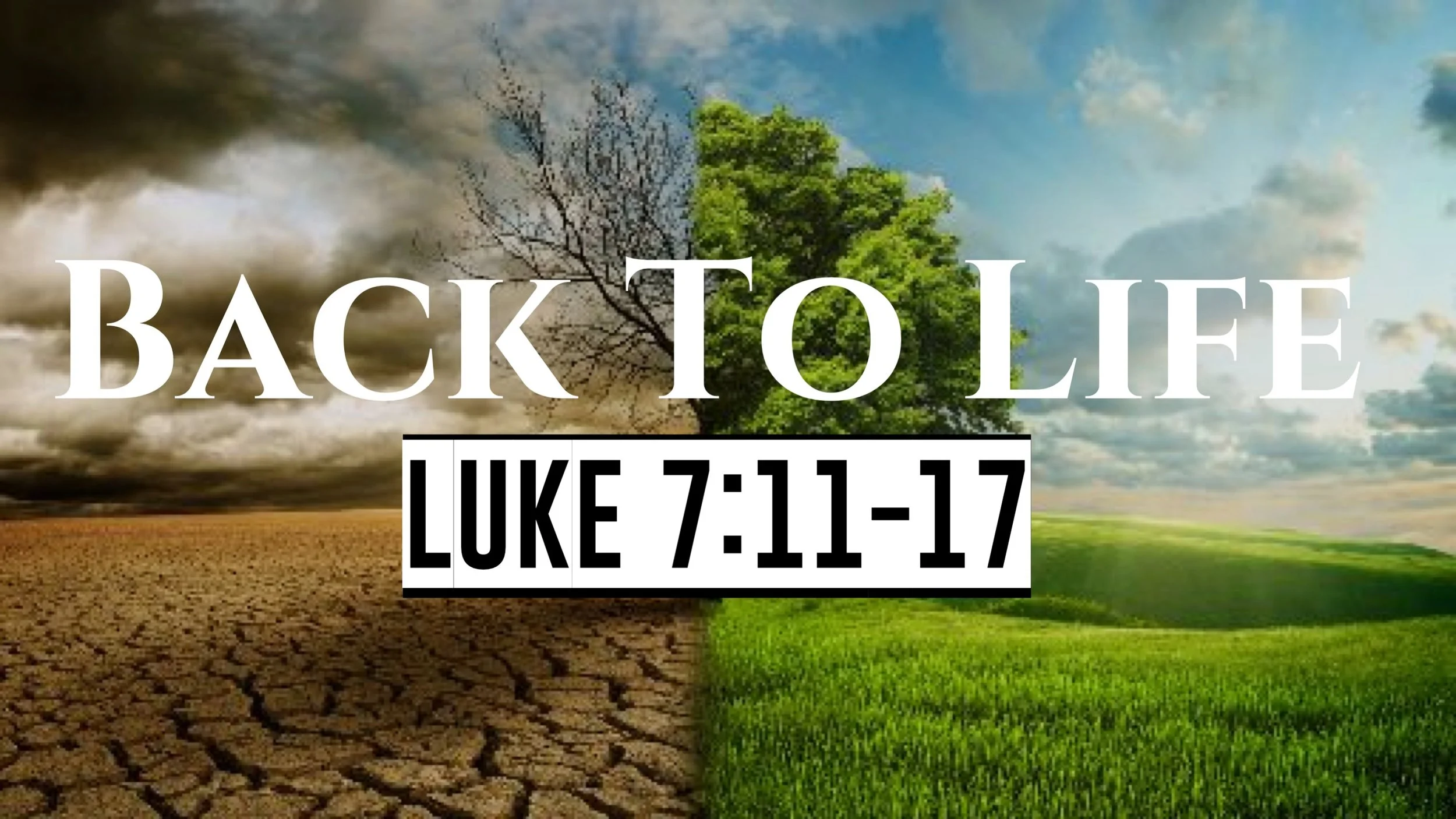 Back To Life | Luke 7:11-17