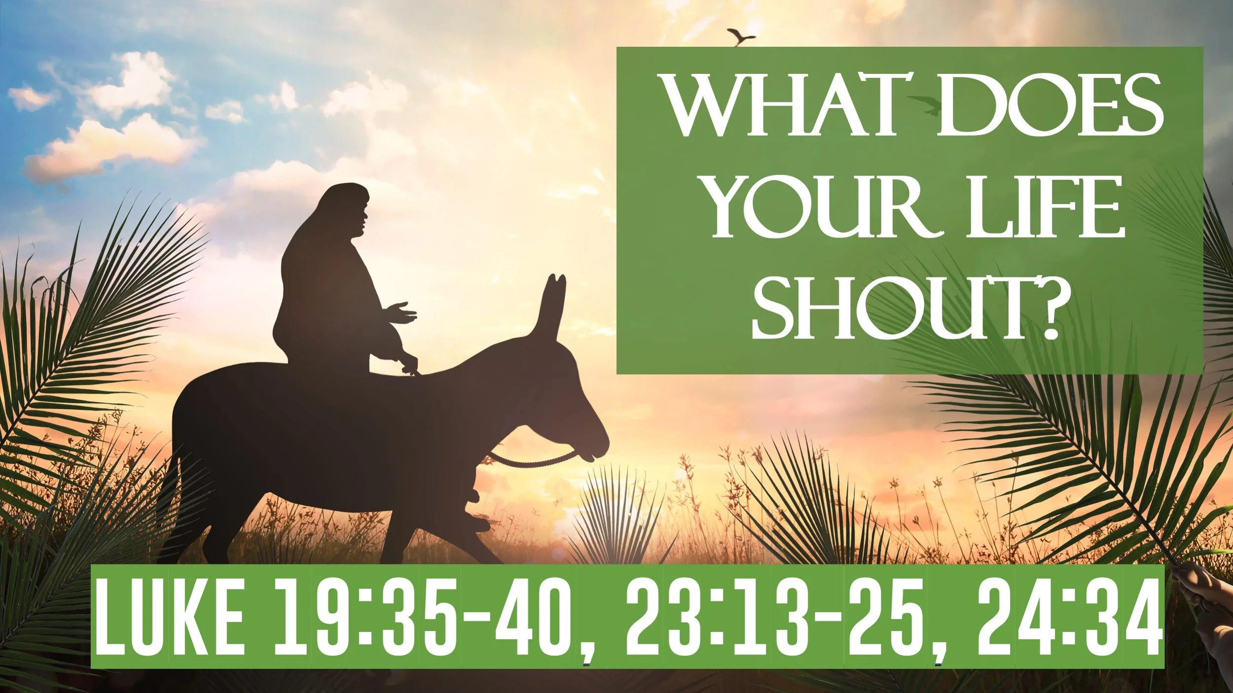  What Does Your Life Shout? | WY123?| Luke 19:35–40; 23:13–25; 24:34