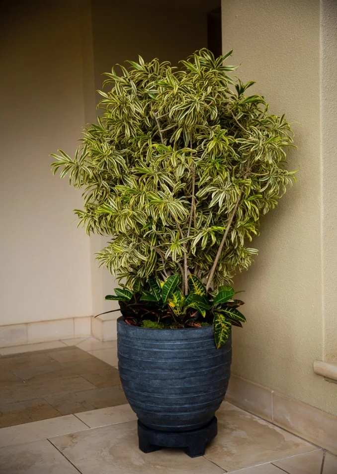 Picture7.jpg