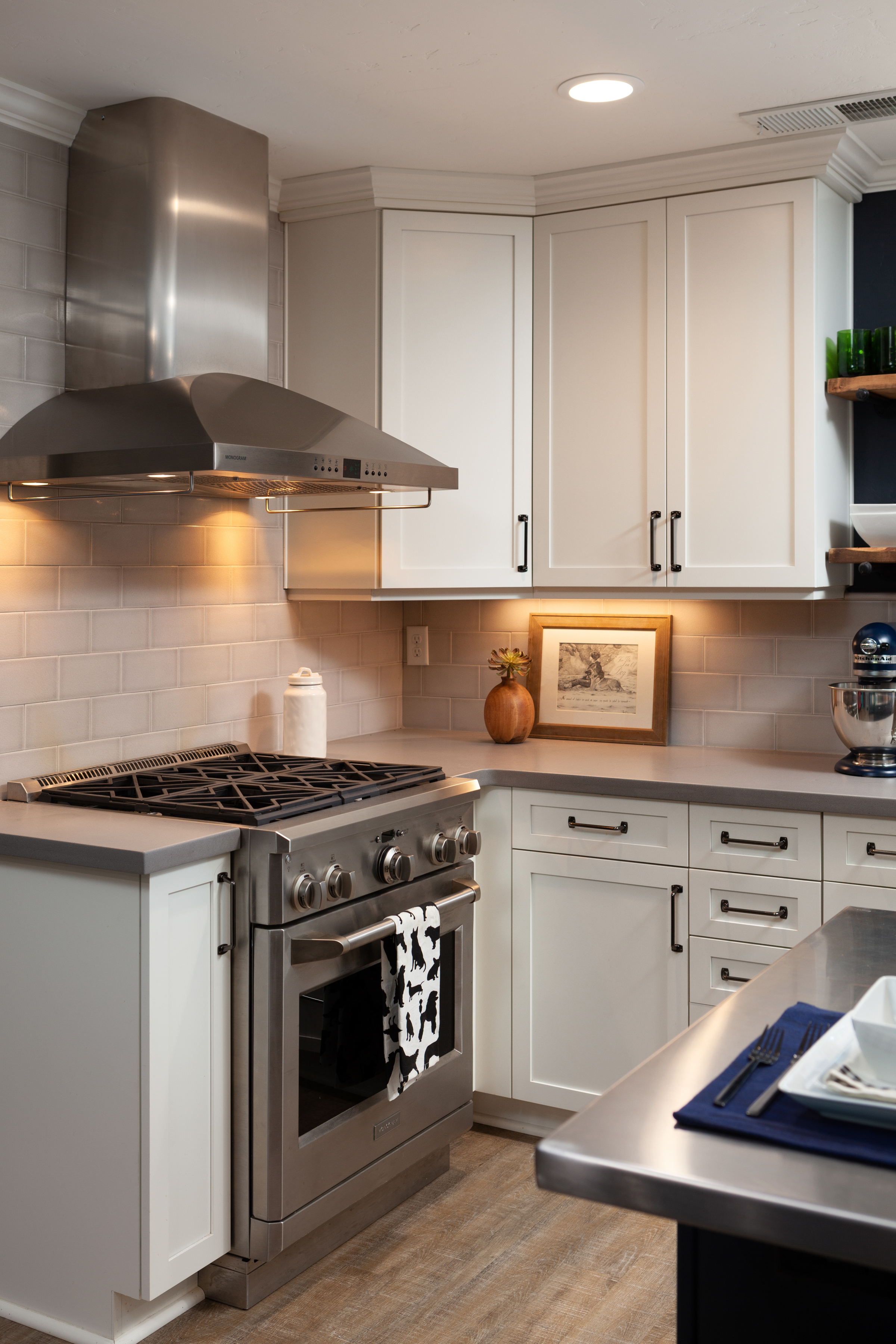 Stainless Steel Appliances