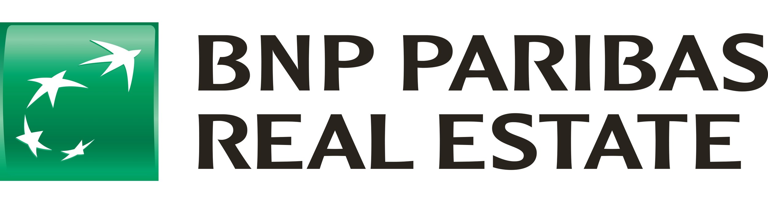 BNP-Paribas-Real-Estate-HiRes-1.jpg