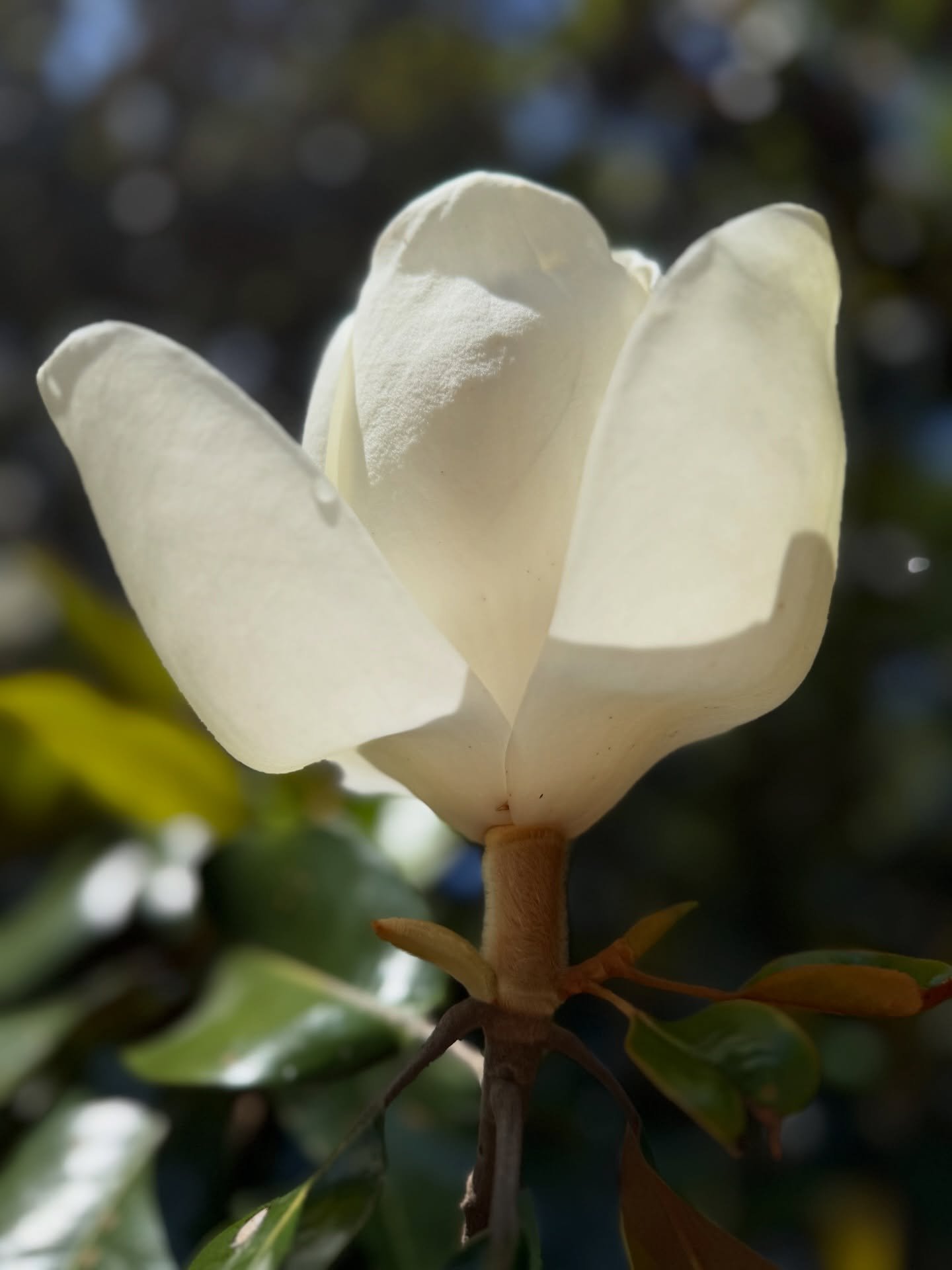 Why working alongside other women opens hearts and minds

So much of what shapes us lives beneath awareness&hellip; our patterns for safety, protection, being right, avoiding being wrong.
We don&rsquo;t always see it until we&rsquo;re in a space wher