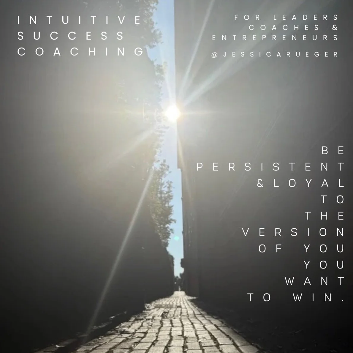 Bet on YOU ➡️➡️➡️with your attention!

Be persistent and loyal to where your attention goes

it&rsquo;s where your energy flows.

Your energy is Creative Substance

It operates through you in the direction of where you place your attention.

It&rsquo