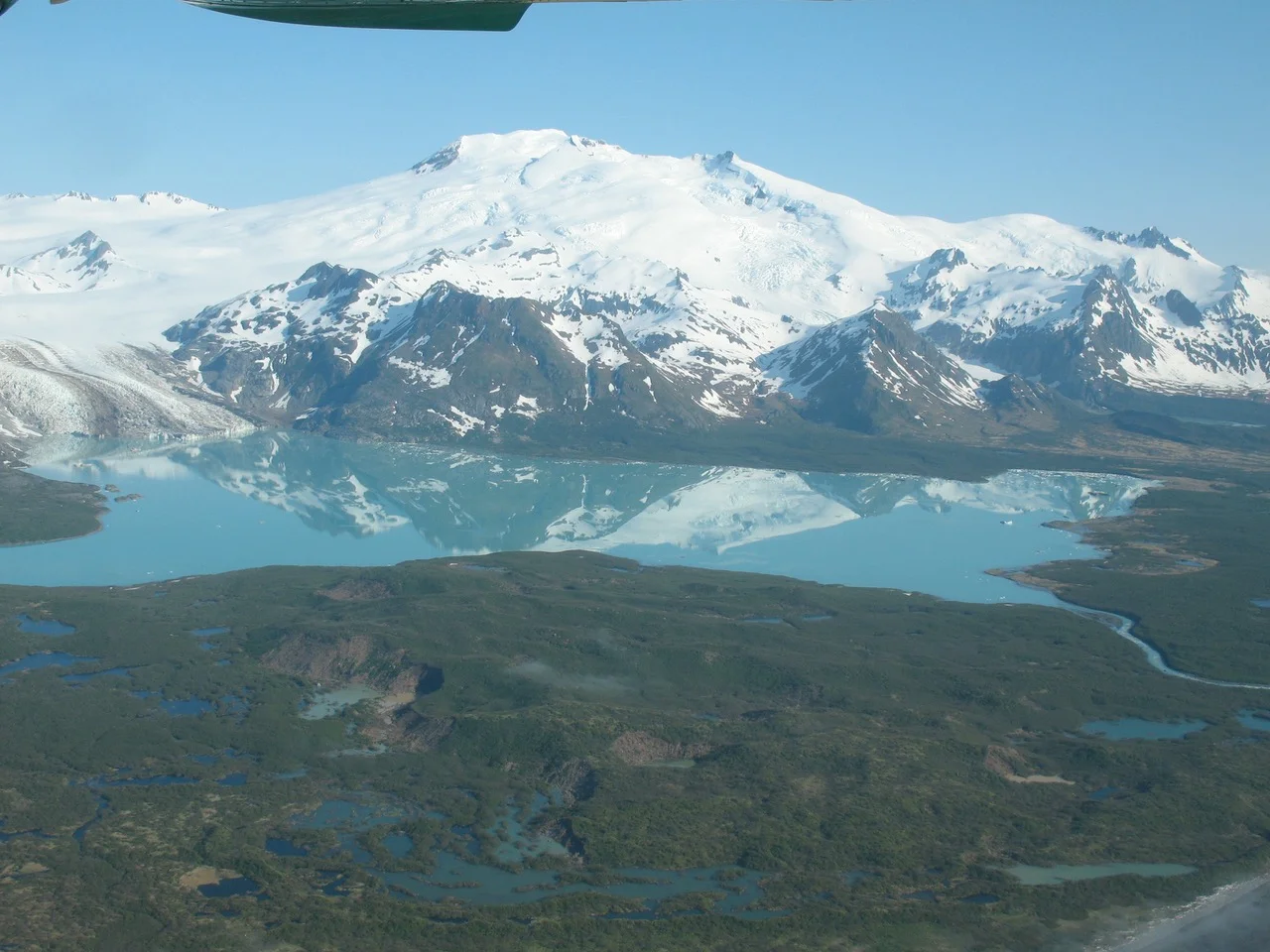 Smokey Bay Air Bear Viewing in Homer, Alaska