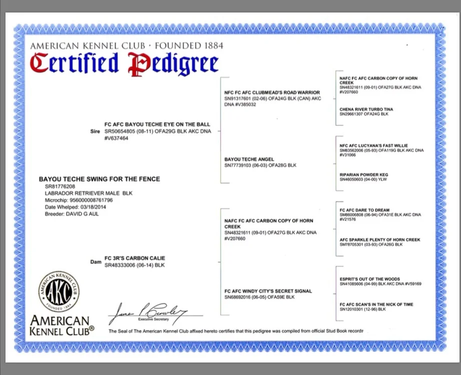Foxx's 4 generation pedigree