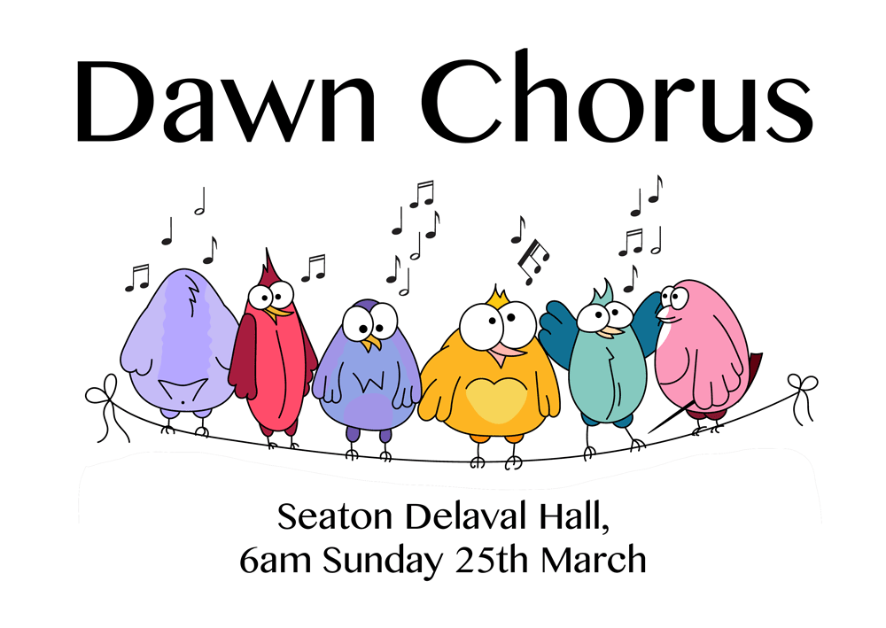 Dawn Chorus