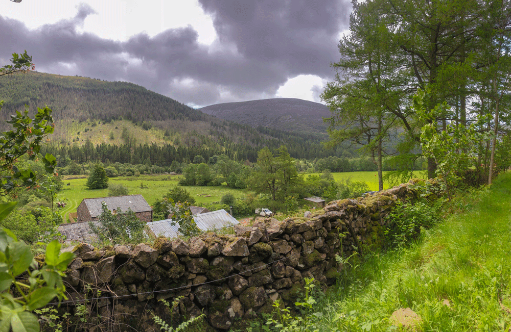 Low Gillerthwaite Field Centre 