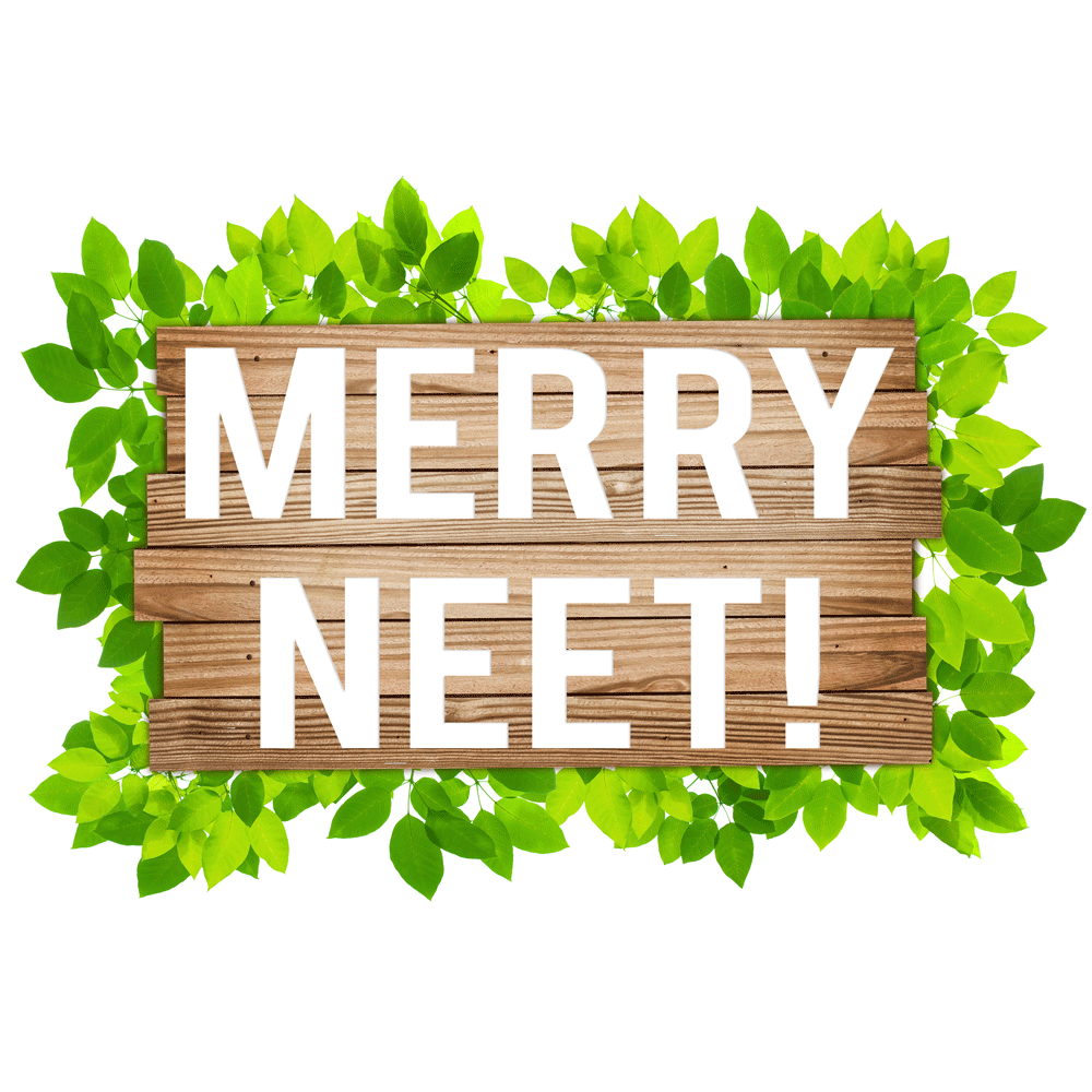 Merry-Neet-Logo-02.gif