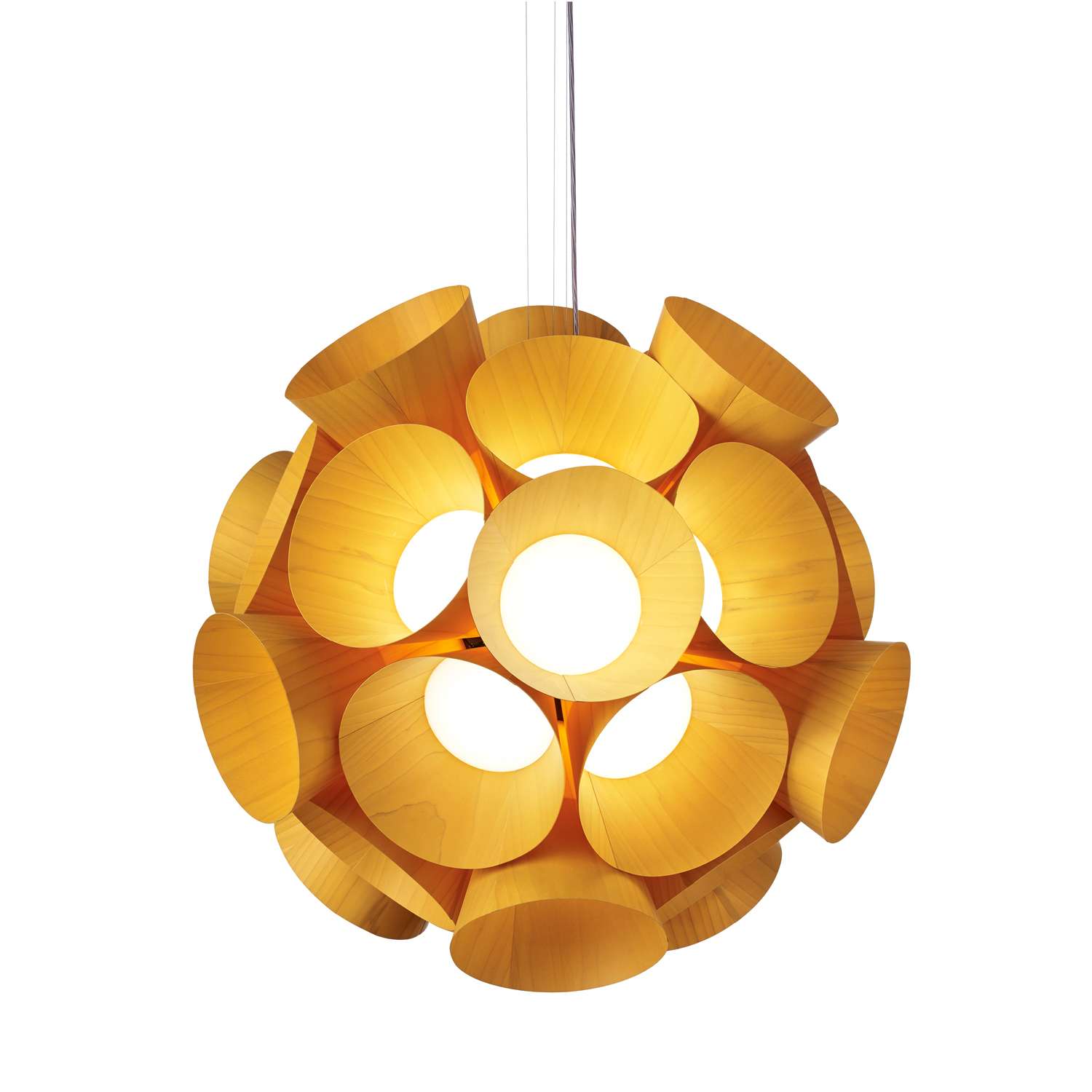 Dandelion Pendant Light ~$11,200