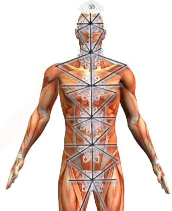 axional man muscles chakras.jpg