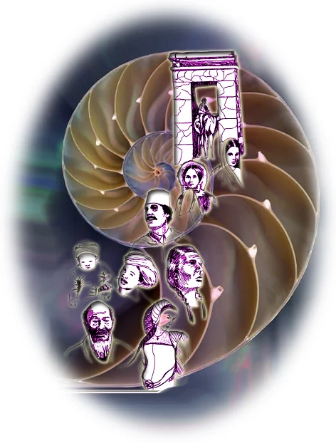 past lives nautilus shell 2.jpg