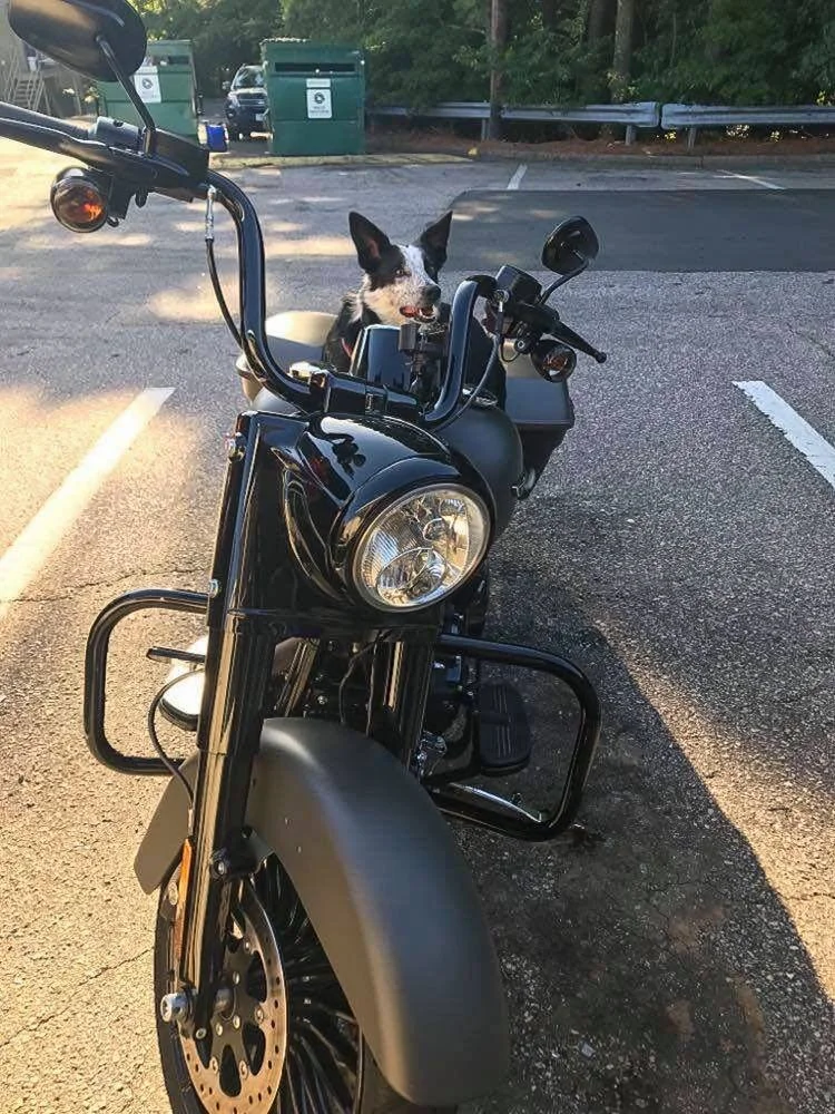 Flex Friday! 07/03/20