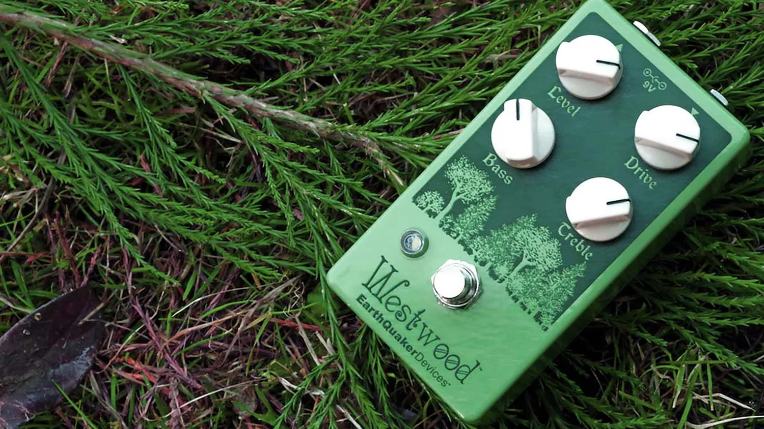新作Westwoodオーバードライブと追加ペダル！ — EarthQuaker Devices