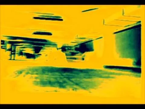 The Warden オプティカルコンプレッサー — EarthQuaker Devices