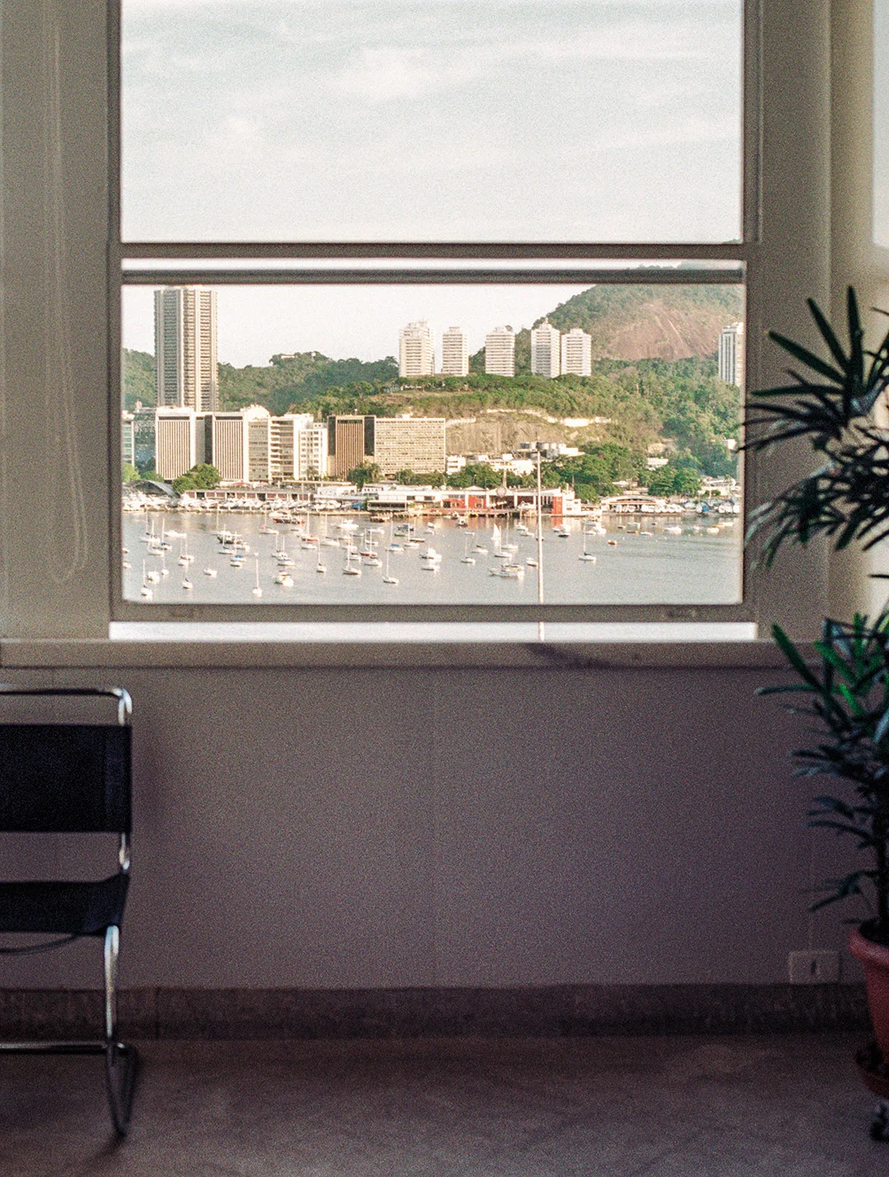 WHERE THE CITY MEETS THE SEA