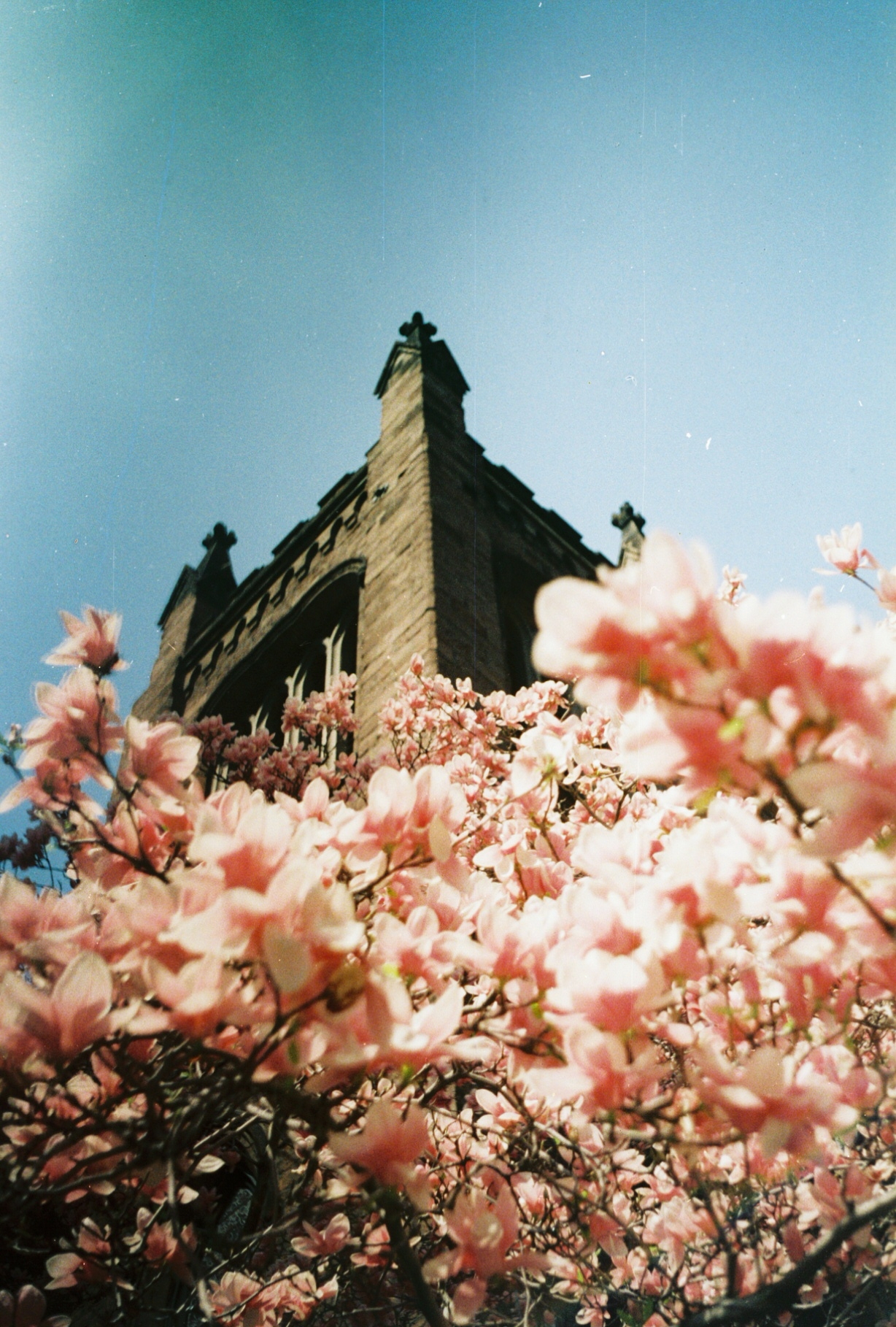 0000921_0000921-R1-E015.jpg