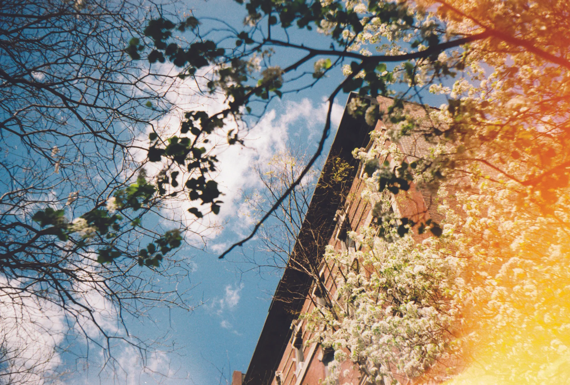 0000523_0000523-R1-021-9.jpg