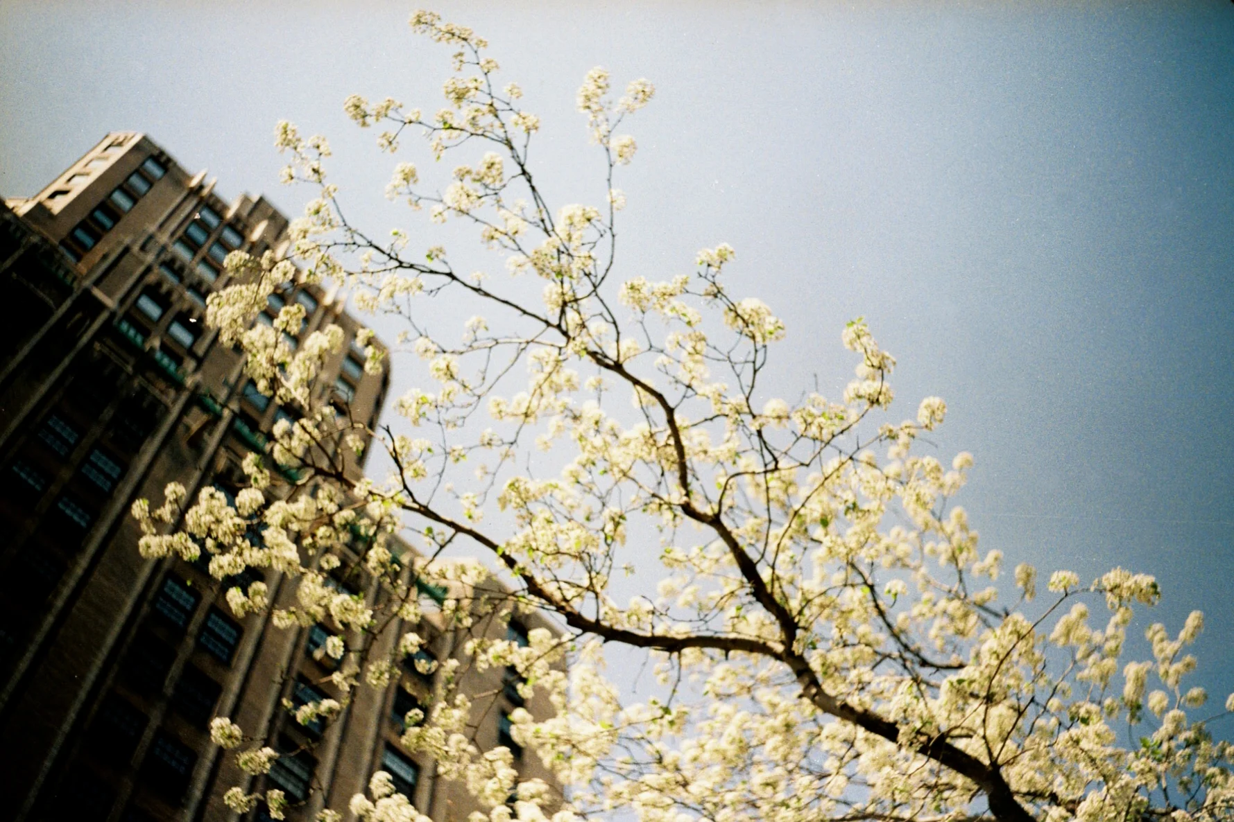 0000921_0000921-R1-E011_2.jpg