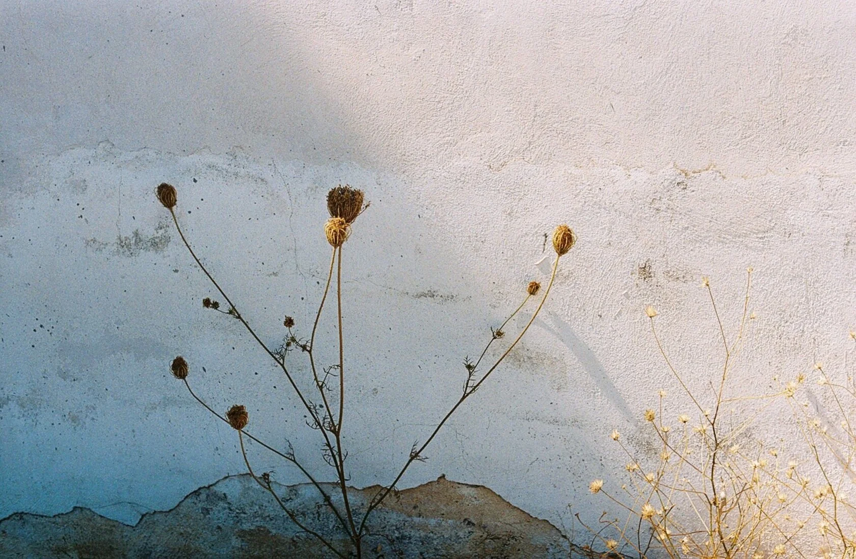 45764R2-R01-014A.jpg