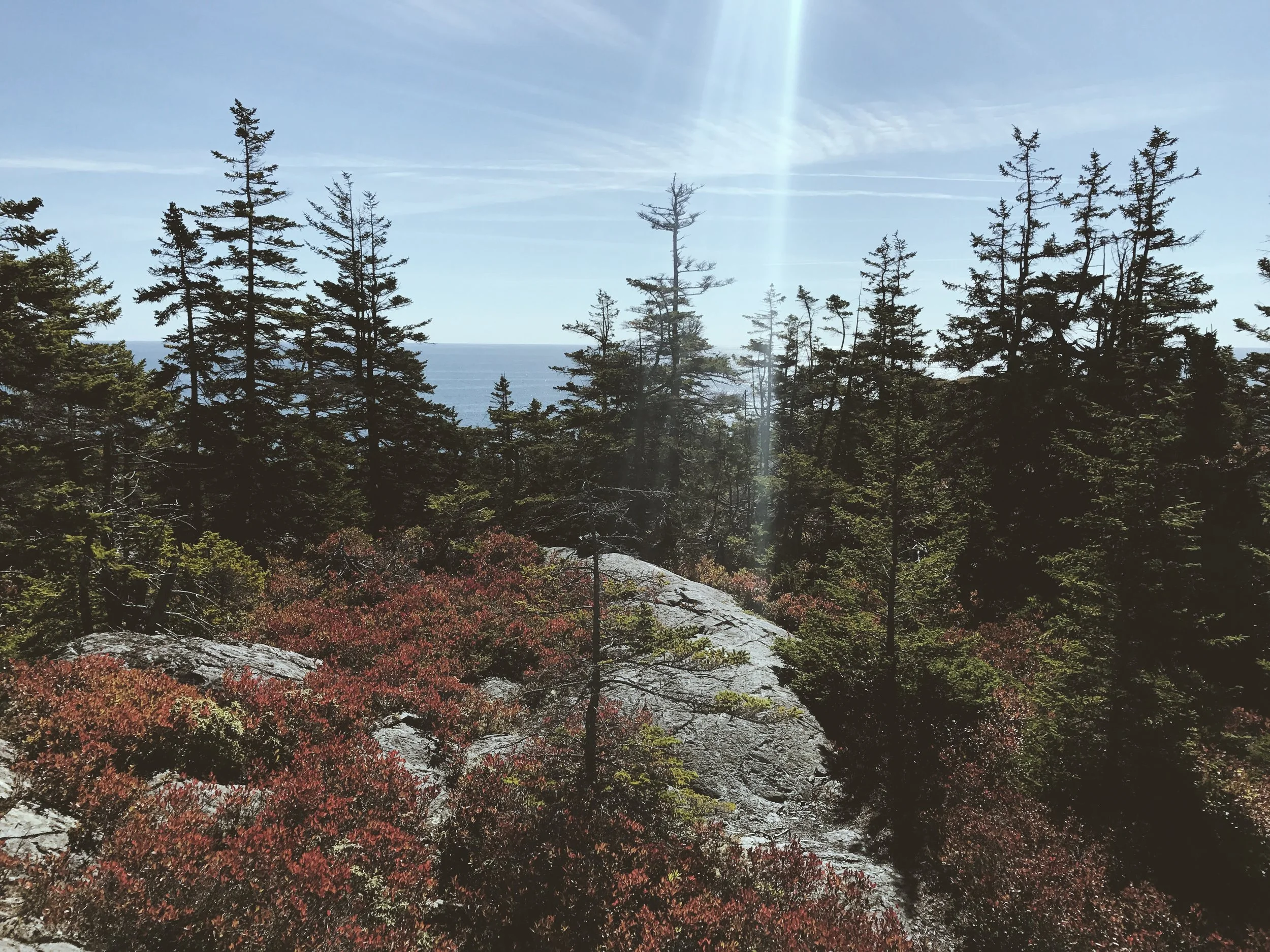 A Lament, An Observation, and A Meditation