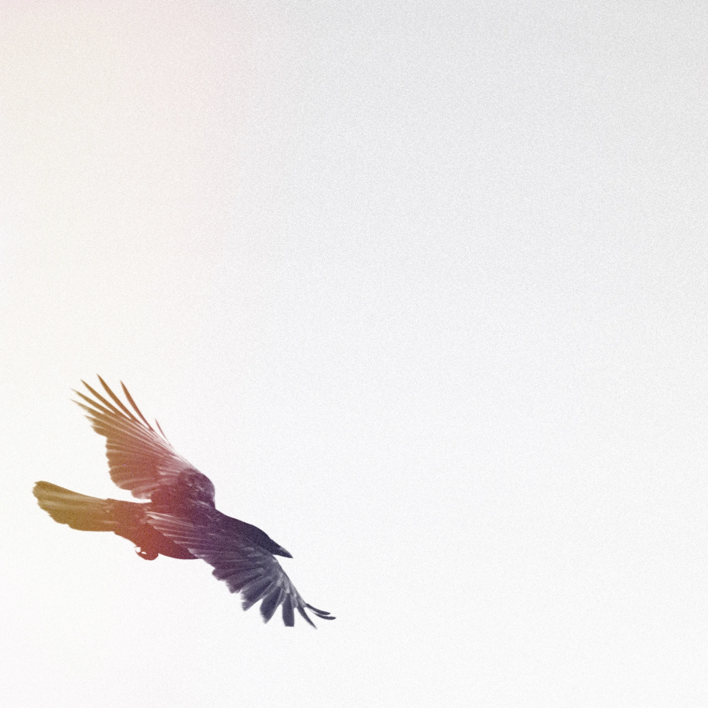 Do it while you're young, and do it when you're old.