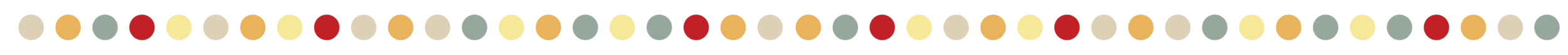 Web Divider_Small Dots_.png