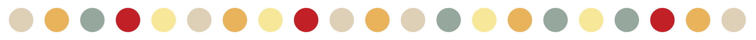 Web Divider_Large Dots_v1.png