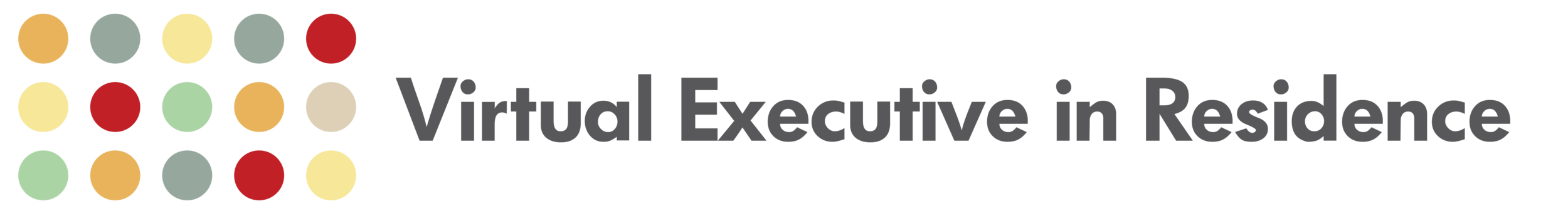 Website Headers_Virtual Executive 2019_v1.png
