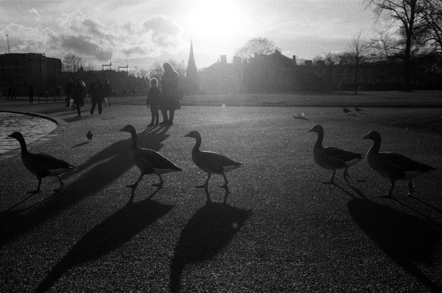 Hyde Park, London, 2017.