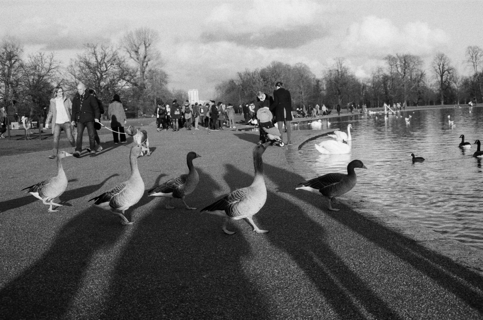 Hyde Park, London, 2017.