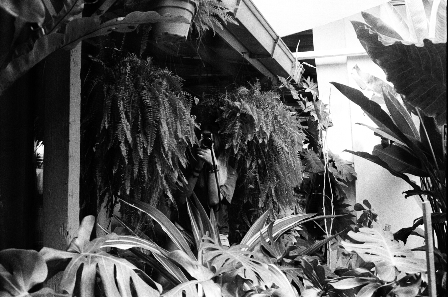 Liz. Johor Bahru, 2017. 