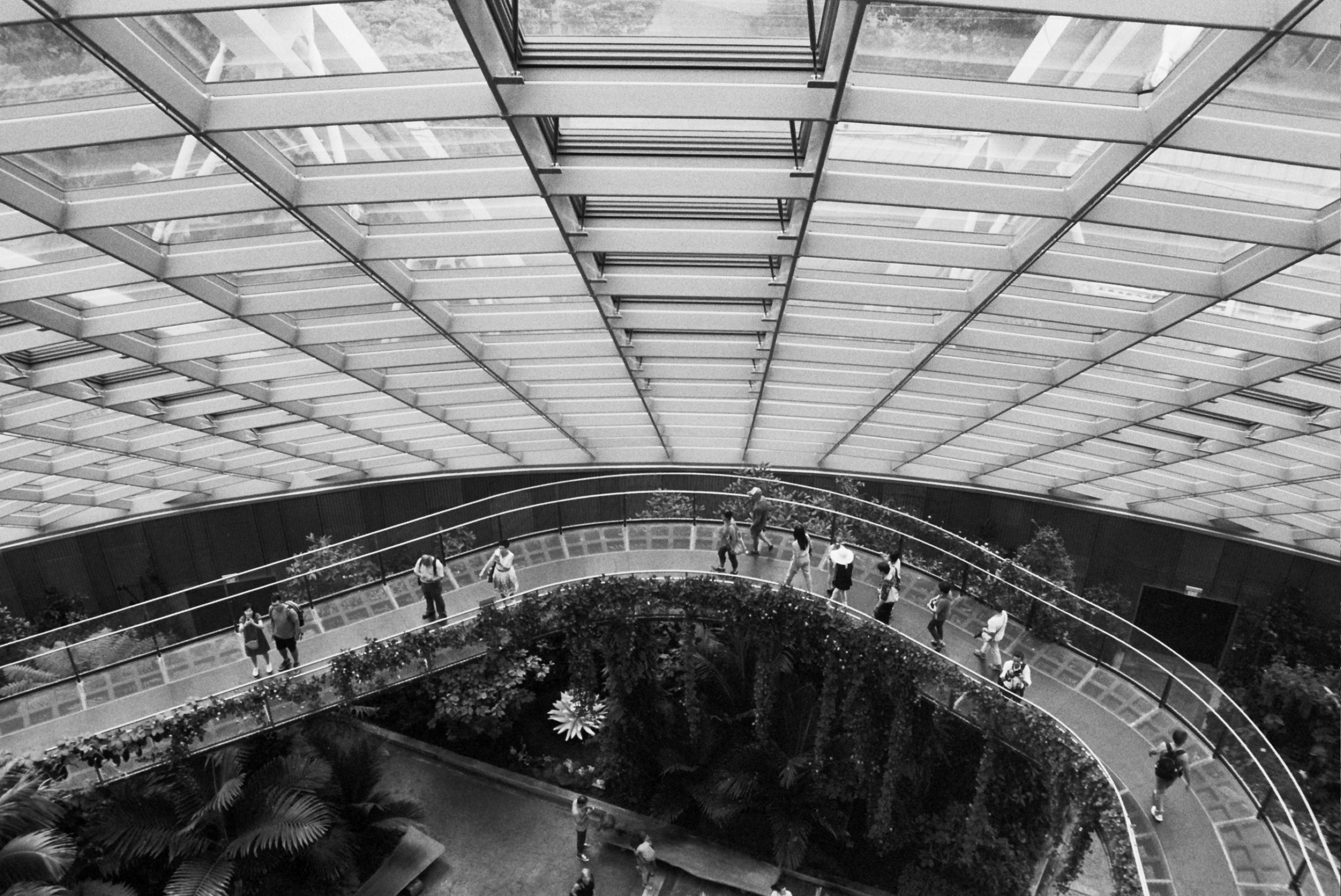 Cloud Forest, Singapore, 2017.